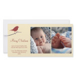 Red robin snowy branch cream Merry Christmas photo cards