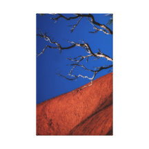 Red Rock No1 Gallery Wrap Canvas