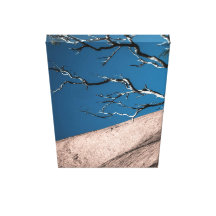 Red Rock No2 Gallery Wrapped Canvas