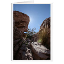 Red Rock NV #4 cards by gvtompkins Red Rock NV #4 cards
