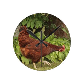 Red Rock Rooster Wall Clock