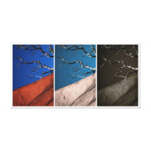Red Rock Triple No2 Canvas Print