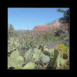 Red Rocks and Cacti Magnet