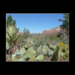 Red Rocks and Cacti Sedona Postcard