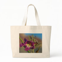 Red Rocks Canyon Joshoa Trees Deserts bags