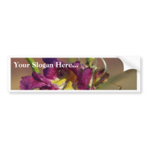 Red Rocks Canyon Joshoa Trees Deserts bumper stickers