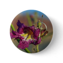Red Rocks Canyon Joshoa Trees Deserts buttons by lifesphere Red Rocks Canyon Joshoa Trees Deserts buttons