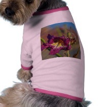 Red Rocks Canyon Joshoa Trees Deserts pet clothing
