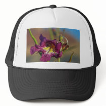 Red Rocks Canyon Joshoa Trees Deserts hats by lifesphere Red Rocks Canyon Joshoa Trees Deserts hats