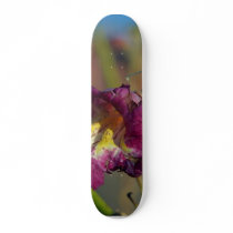Red Rocks Canyon Joshoa Trees Deserts skateboards