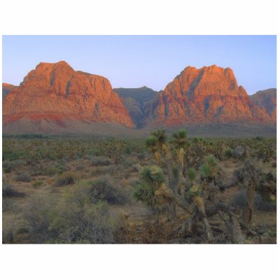 Red Rocks Right At Sunrise Acrylic Cut Out by lifesphere
