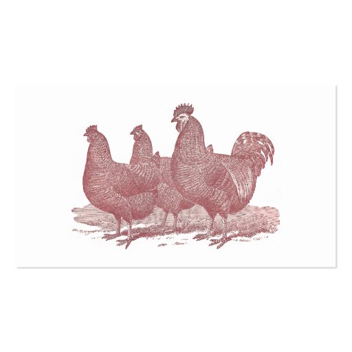 Red Rooster and Hens Plymouth Rock Chickens Farm Business Card (back side)