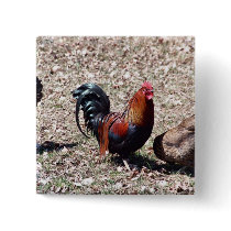 Red Rooster Pin
