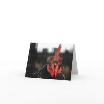 Red Rooster Card