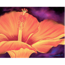 Red Rooster Frog Hibiscus Photo Sculpture - Multi photo sculptures