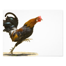 Red Rooster Invite