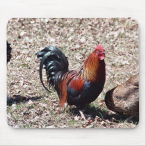 Red Rooster Mouse Mats