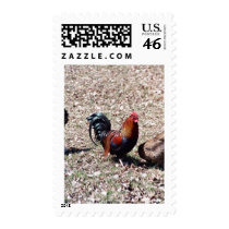 Red Rooster Stamp