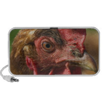 Red rooster notebook speakers