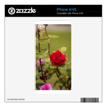 red rose2.jpg skins for iPhone 4