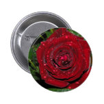 Red Rose #2 Pins