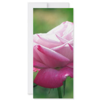 Red rose#3 rack cards by BrianLemburg Red rose#3 rack cards