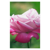 Red rose#3 stationery