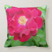 Red Rose throwpillow