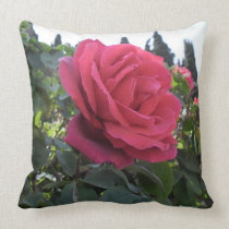 Red Rose American MoJo Pillows pillows