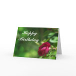 Red Rose Birthday cards