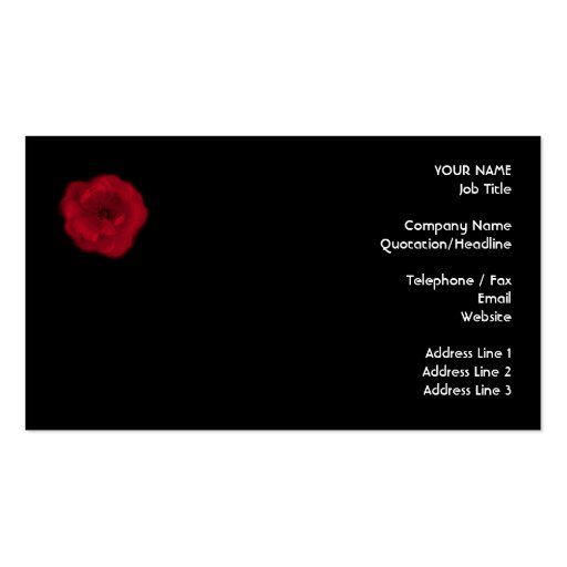 Red Rose. Black Background. Business Card