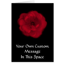 Red Rose. Black Background. Cards
