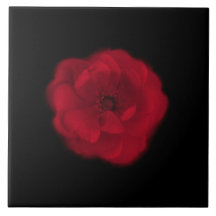 Red Rose. Black Background. Ceramic Tile
