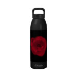 Red Rose. Black Background. Drinking Bottle