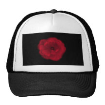 Red Rose. Black Background. Hats