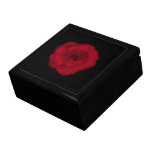 Red Rose. Black Background. Keepsake Box
