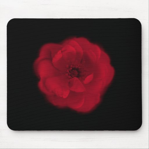 Red Rose. Black Background. Mousepad