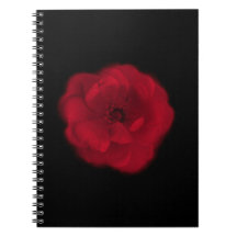 Red Rose. Black Background. Notebooks