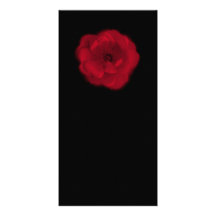 Red Rose. Black Background. Photo Greeting Card