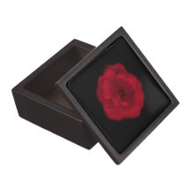 Red Rose. Black Background. Premium Keepsake Box