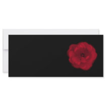 Red Rose. Black Background. Rack Card Design
