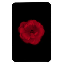 Red Rose. Black Background. Rectangle Magnet