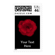 Red Rose. Black Background. Stamps