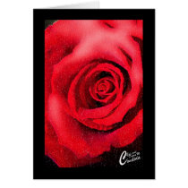 Red Rose (Black Border) cards by creativeworks Red Rose (Black Border) cards