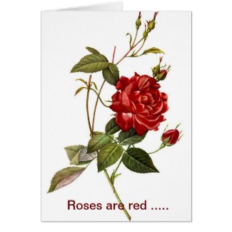 red rose blank greeting card