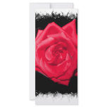 Red rose bloom against a black jagged backdrop custom rack cards