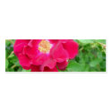 Red Rose Bookmark business cards by Country1969 Red Rose Bookmark business cards