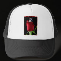 Red rose Boston Terrier baseball cap hats