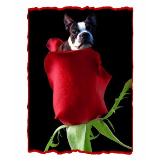 Red rose Boston Terrier Woman's Tank Top shirt