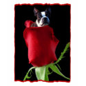 Red rose Boston Terrier Woman's Tank Top t-shirts by ritmoboxer Red rose Boston Terrier Woman's Tank Top t-shirts